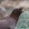 Favicon immobilien an der nordsee